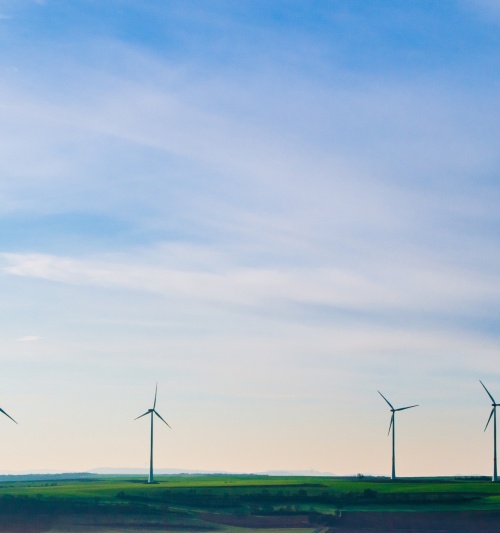 Geslaagde interactieve excursie naar windpark Noordoostpolder